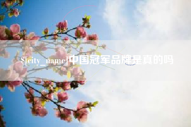 邵东中国冠军品牌是真的吗