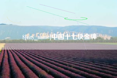 邵东中国十七块金牌