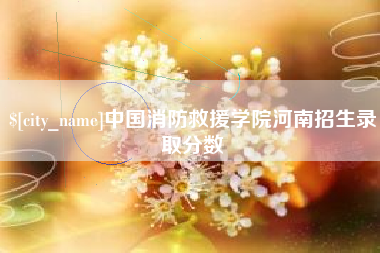 邵东中国消防救援学院河南招生录取分数