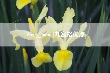邵东九宫格优点