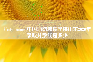 邵东中国消防救援学院山东2020年录取分数线是多少