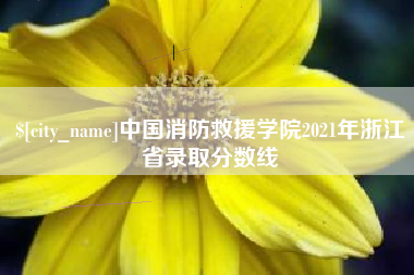 邵东中国消防救援学院2021年浙江省录取分数线