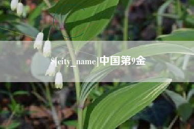 邵东中国第9金
