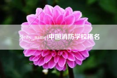 邵东中国消防学校排名