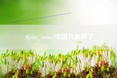 邵东中国几金牌了