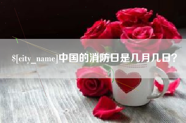 邵东中国的消防日是几月几日？