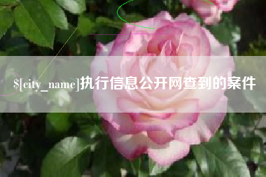 邵东执行信息公开网查到的案件