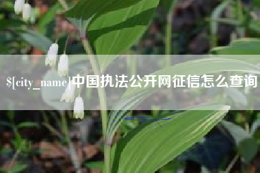 邵东中国执法公开网征信怎么查询