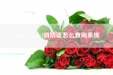 邵东消防证怎么查询系统
