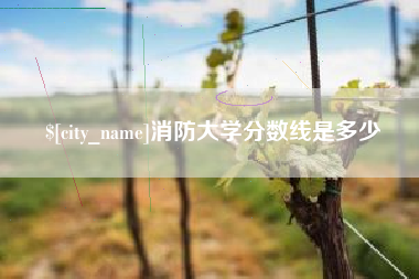 邵东消防大学分数线是多少