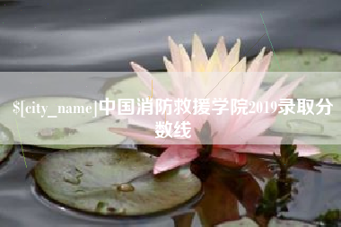 邵东中国消防救援学院2019录取分数线
