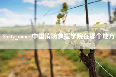 邵东中国消防救援学院在那个地方