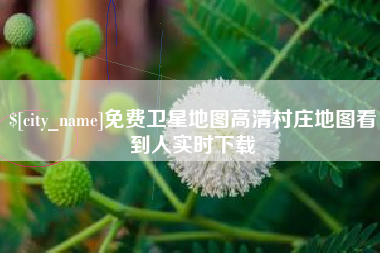 邵东免费卫星地图高清村庄地图看到人实时下载