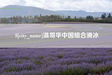 邵东温哥华中国组合滑冰