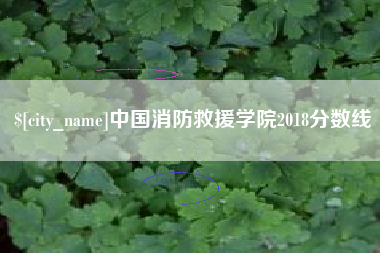 邵东中国消防救援学院2018分数线