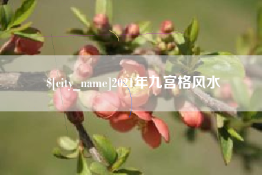 邵东2021年九宫格风水