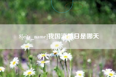邵东我国消防日是哪天