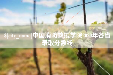 邵东中国消防救援学院2020年各省录取分数线
