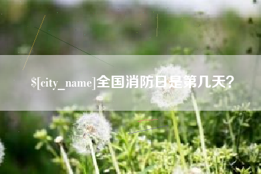 邵东全国消防日是第几天？