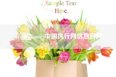 邵东中国执行网信息官网