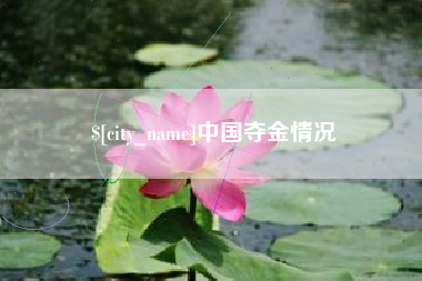 邵东中国夺金情况