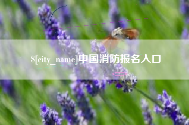 邵东中国消防报名入口
