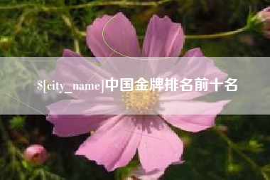 邵东中国金牌排名前十名