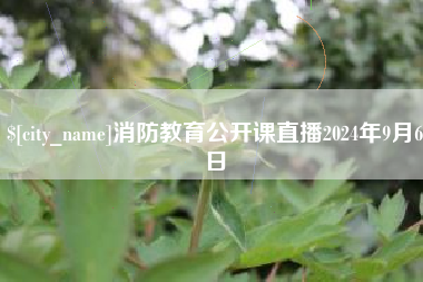 邵东消防教育公开课直播2024年9月6日