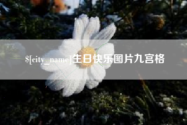 邵东生日快乐图片九宫格