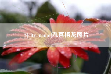 邵东九宫格龙图片