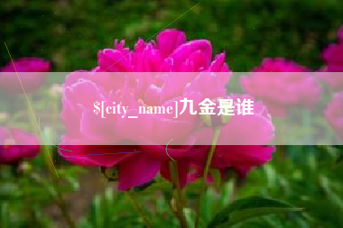 邵东九金是谁