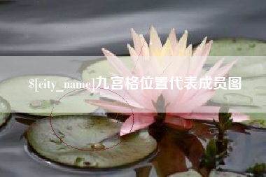 邵东九宫格位置代表成员图