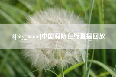 邵东中国消防在线直播回放
