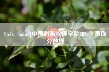 邵东中国消防救援学院2019年录取分数线
