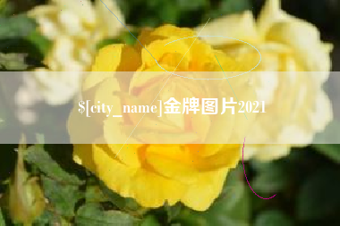 邵东金牌图片2021