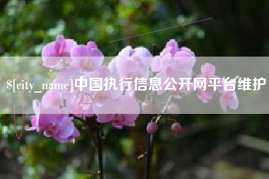 邵东中国执行信息公开网平台维护