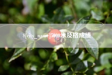 邵东5000米及格成绩