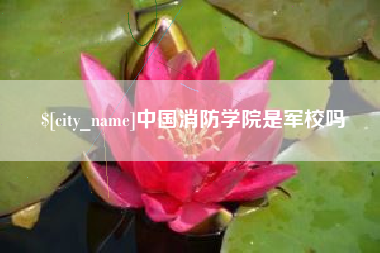 邵东中国消防学院是军校吗