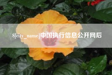 邵东中国执行信息公开网后
