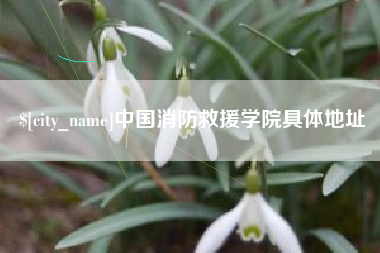 邵东中国消防救援学院具体地址