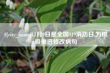 邵东11月9日是全国119消防日,为积极推进修改病句
