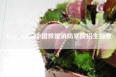 邵东中国救援消防学院招生简章