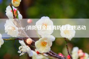 邵东消防日全国消防日主题活动