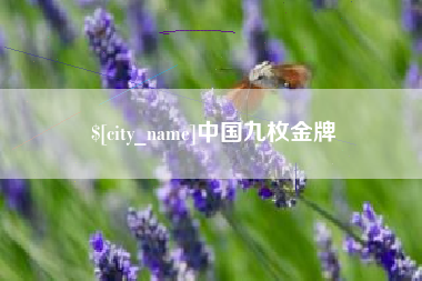 邵东中国九枚金牌