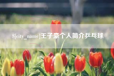 邵东王子豪个人简介乒乓球