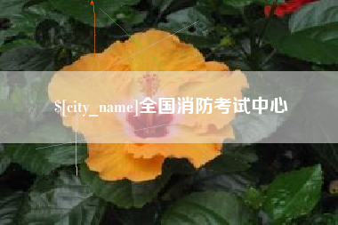 邵东全国消防考试中心