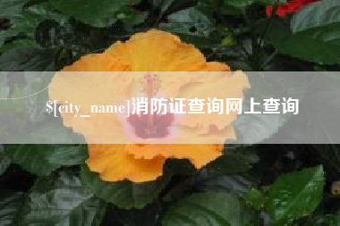 邵东消防证查询网上查询