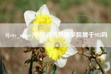 邵东中国消防救援学院属于985吗