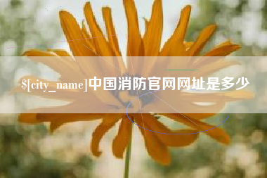 邵东中国消防官网网址是多少