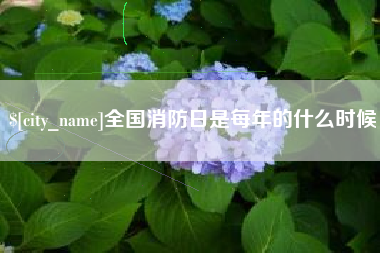 邵东全国消防日是每年的什么时候